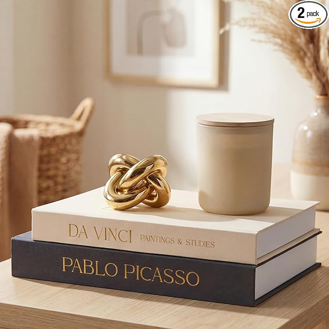 Decorative Books Set of 2 with Hidden Storage – Premium Linen Coffee Table Books, Picasso & Da ... | Amazon (US)