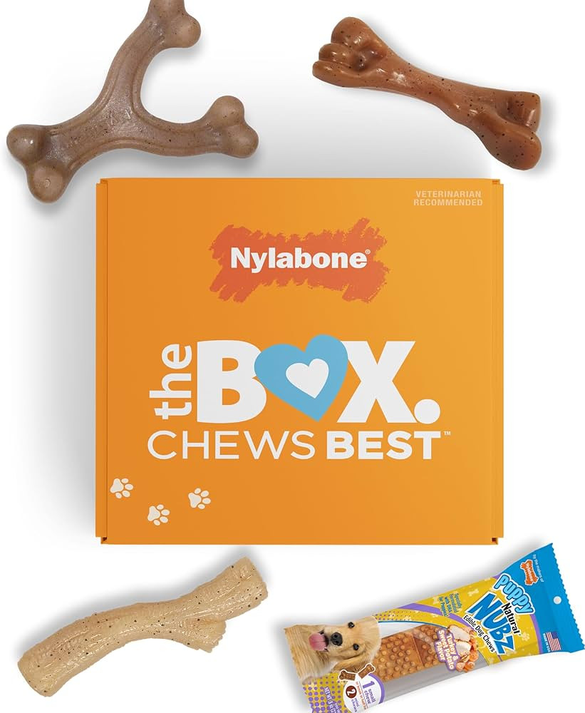 Nylabone Puppy Gift Box - 3 Strong Chew Toys for Teething Puppies and 1 Dog Treat - Puppy Supplie... | Amazon (US)
