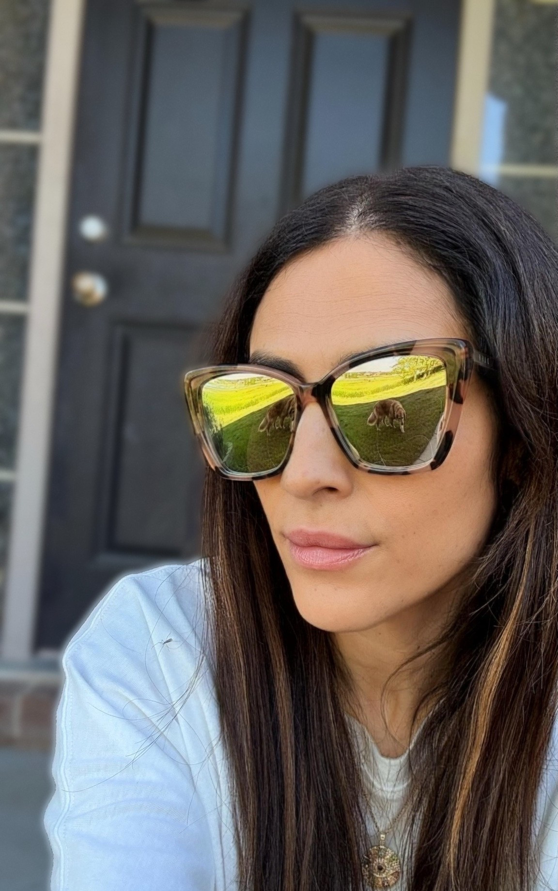 Starting June with my go-to sunnies. ☀️

These oversized sunglasses have been on repeat lately and somehow go with everything.

Easy to throw on for errands, travel days, pool days, and all the summer outfits.

Golden retriever reflection effect not included. 😉🐾

#LTKootd #LTKTravel #LTKOver40