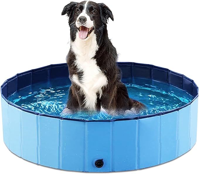 Jasonwell Foldable Dog Pool Collapsible Hard Plastic Dog Swimming Pool Portable Kiddie Pool Pet P... | Amazon (US)