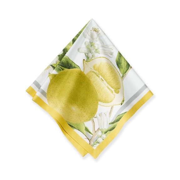 Meyer Lemon Napkins, Set of 4 | Williams-Sonoma