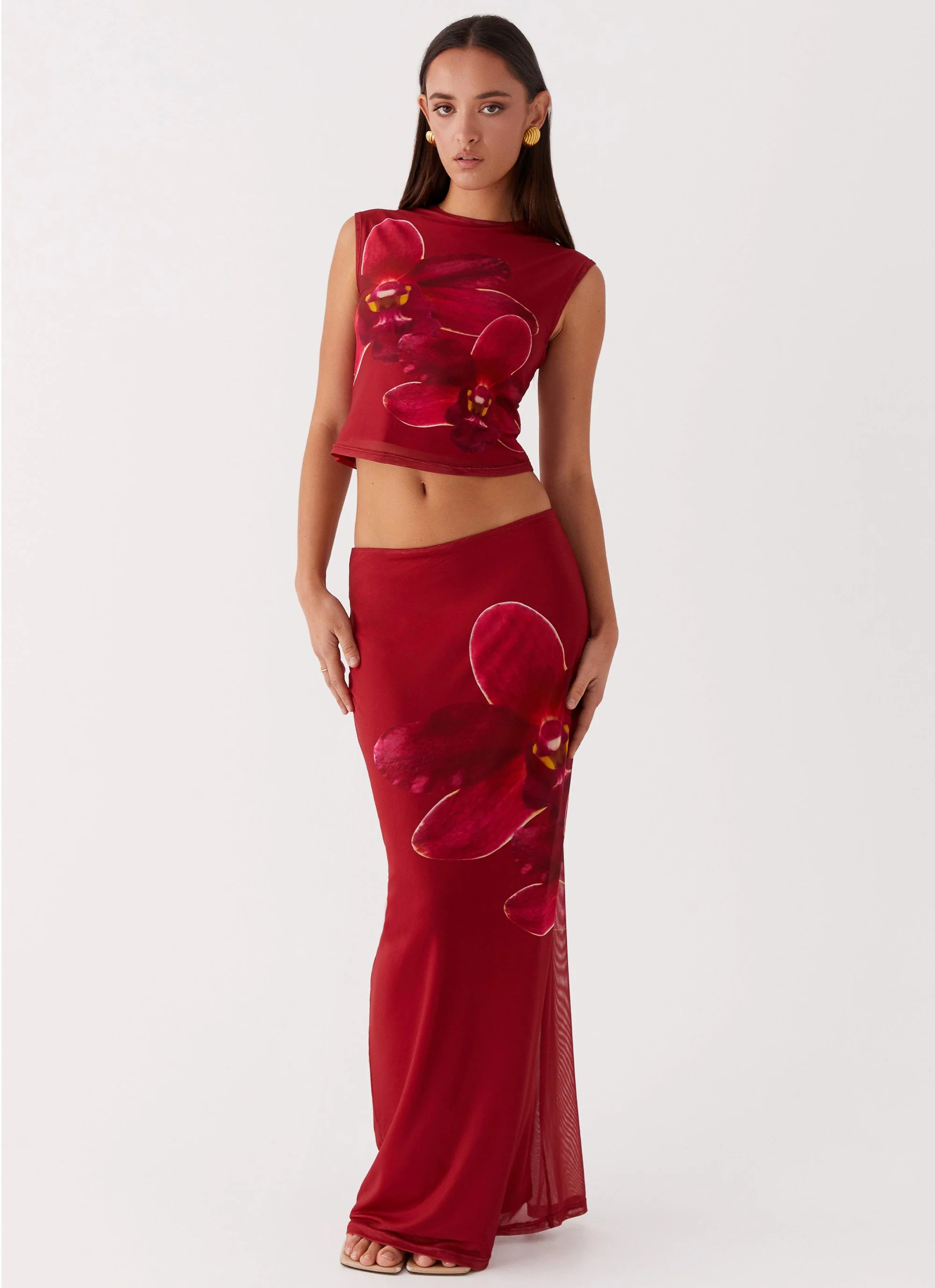Waiting For Dawn Mesh Maxi Skirt - Rosa | Peppermayo (Global)