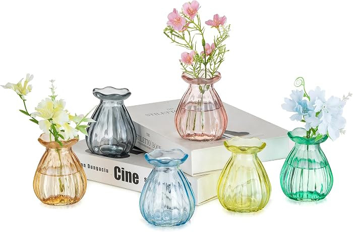 Hewory Mini Bud Vases for Flowers, 6pcs Small Vases for Table Decoration | 8cm Mini Vase Set, Cut... | Amazon (UK)