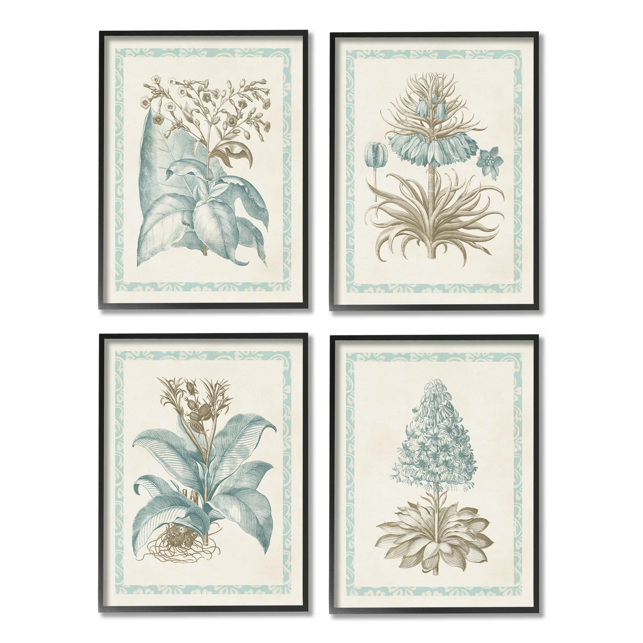 Stupell Industries Botanical Herb Latin Studies 4 Pc Giclee Art Set By Vision Studio | Wayfair | Wayfair North America