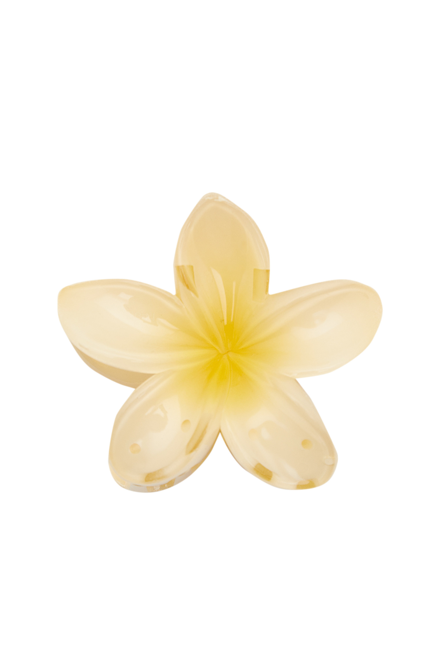 Hibiscus flower hair clip | PULL and BEAR UK