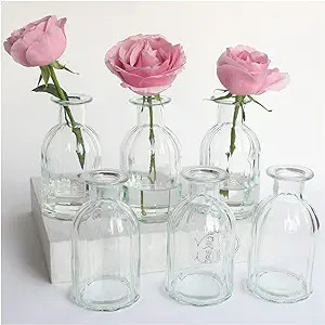 Bud Vases Set of 6 Small Glass Vase for Flowers, Clear Vase Set for Wedding Decor, Home Decorativ... | Amazon (US)