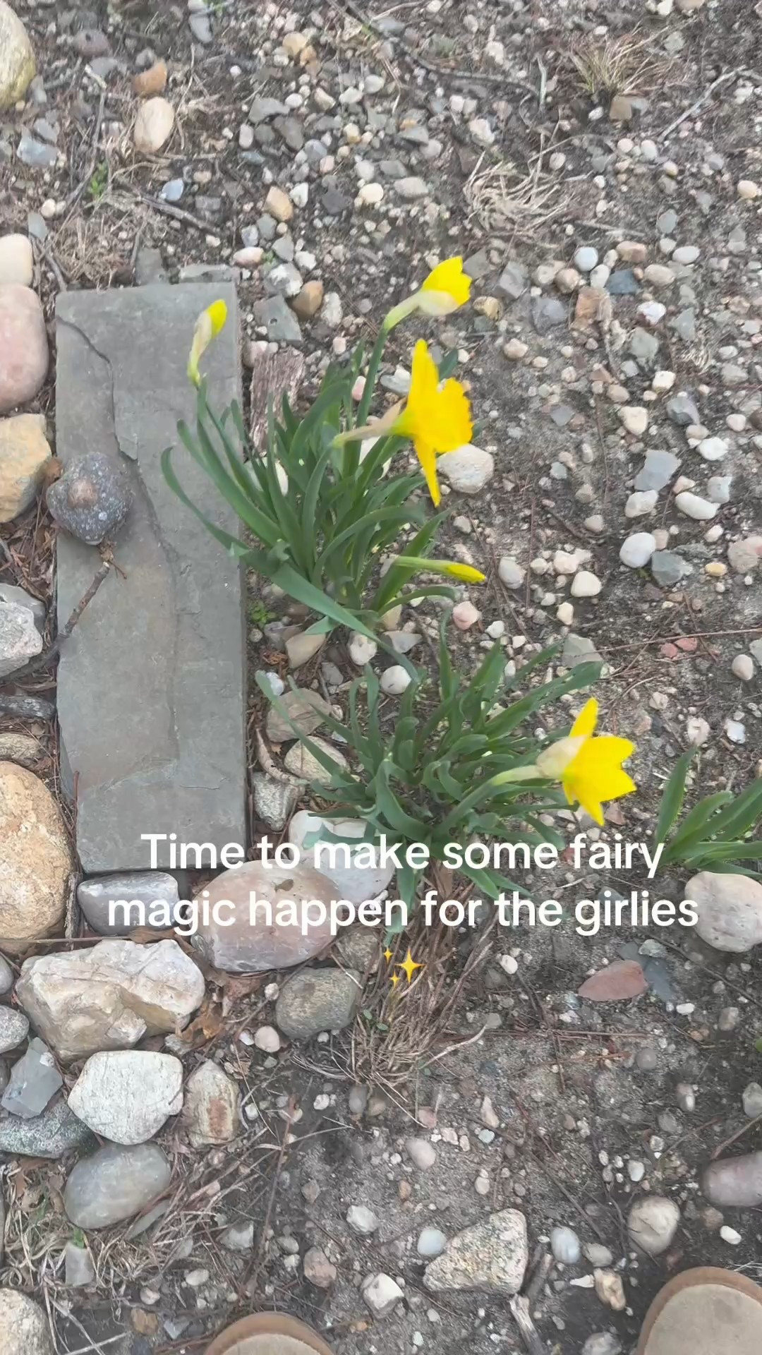 Day made 🥹 they were so happy!! 

#LTKFamily #LTKKids #LTKFindsUnder50