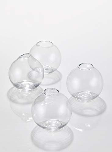 Serene Spaces Living Set of 4 Clear Ball Glass Bud Vase, Short Vases for Centerpieces for Home Decor | Amazon (CA)