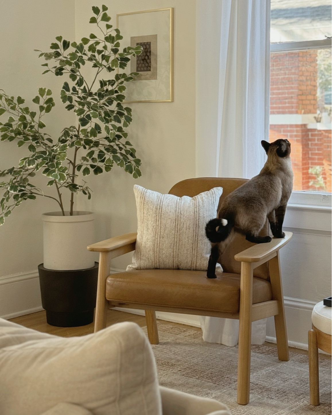 First look at new year’s in my home! Obsessed with this tree - it’s so realistic! 