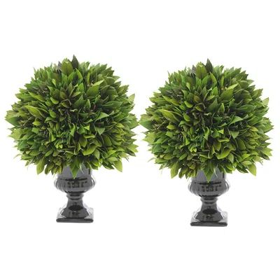 Garden Topiary in Urn | Wayfair North America