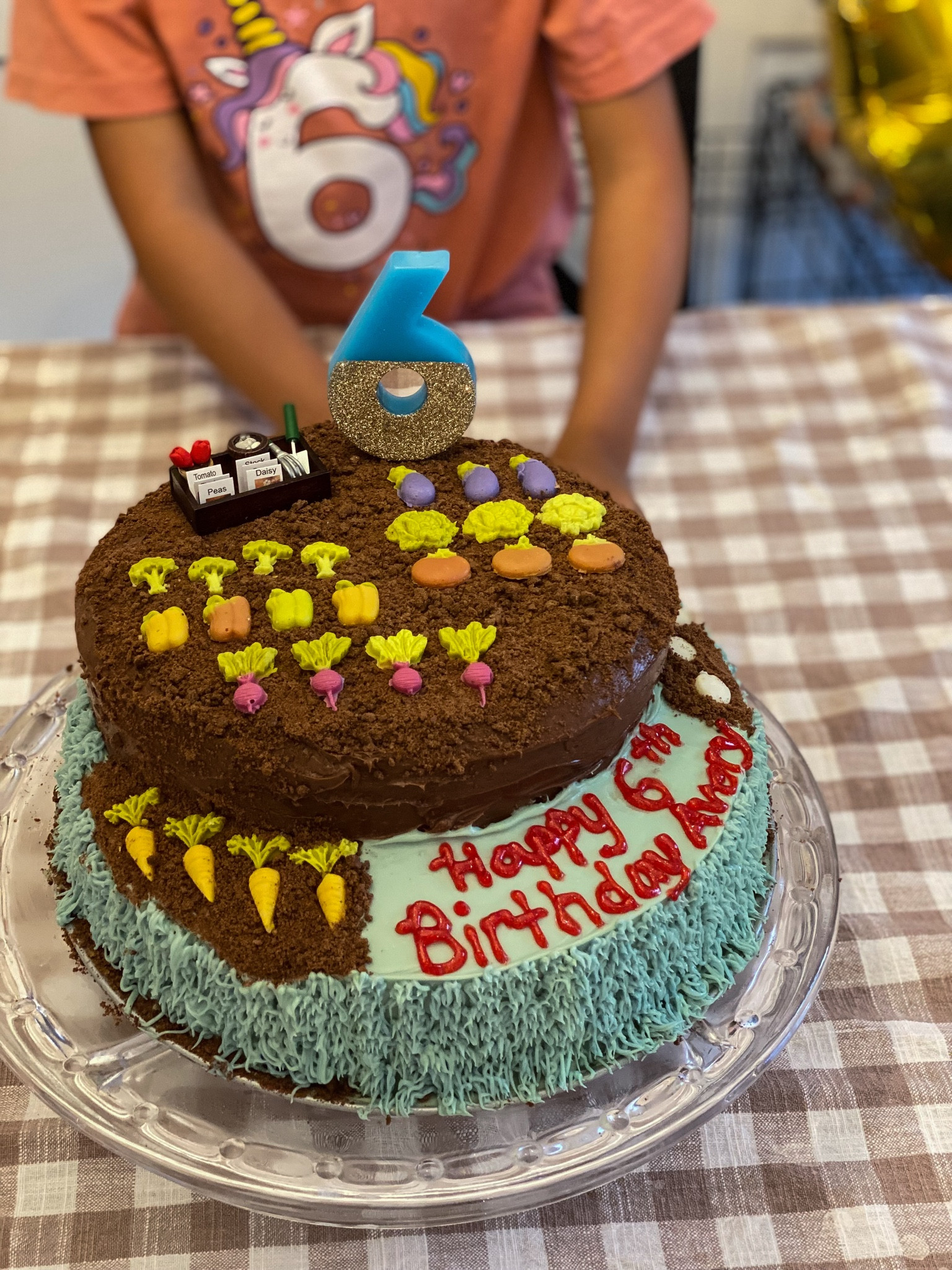 Veggie garden birthday party ideas

#LTKParties #LTKKids #LTKHome