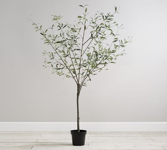 Faux Potted Olive Tree | Pottery Barn (US)