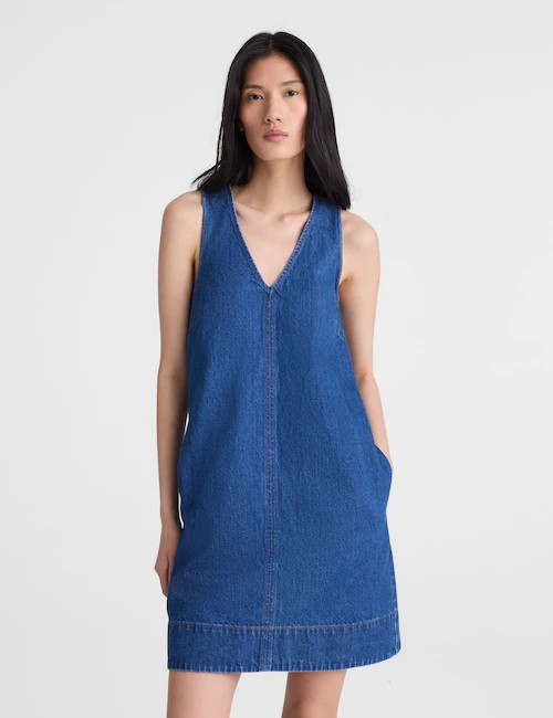 Denim V-Neck Sleeveless Mini Dress | Madewell