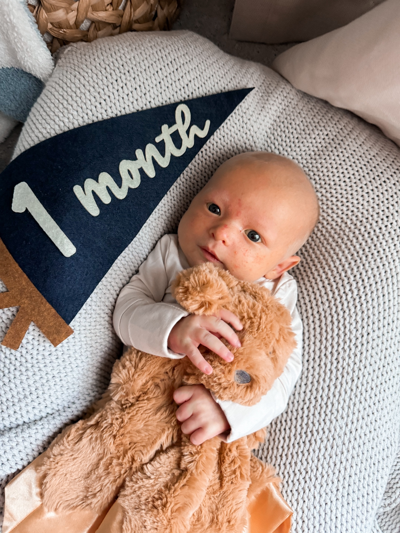 Baby milestone photo can’t wait Reid is one month! I found the monthly milestone banner on Etsy and the cute dog stuffie is from Target! 



#LTKKids #LTKBaby #LTKBump