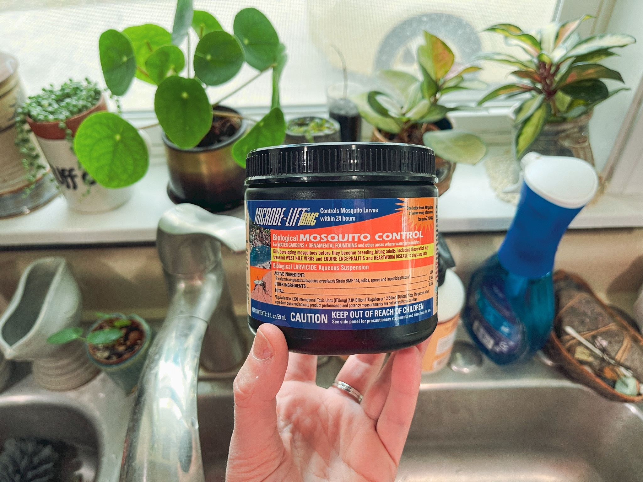 My secret to no fungus gnats- BTI drops. 

1 drop per gallon of water. Use every watering. 

#plants

#LTKhome #LTKfindsunder50