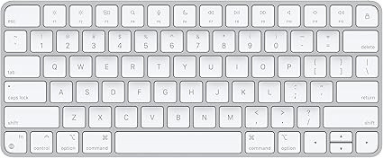 Apple Magic Keyboard Wireless Bluetooth Rechargeable Works with Mac iPad iPhone US English White | Amazon (US)
