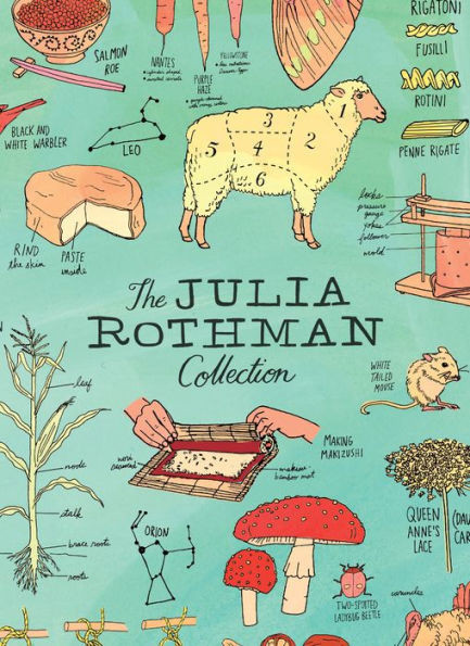 The Julia Rothman Collection: Farm Anatomy, Nature Anatomy, and Food Anatomy | Barnes & Noble