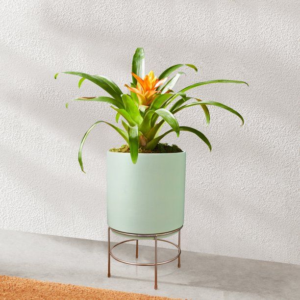 Mainstays 10 in Dia Green Ceramic Planter with Gold Stand | Walmart (US)
