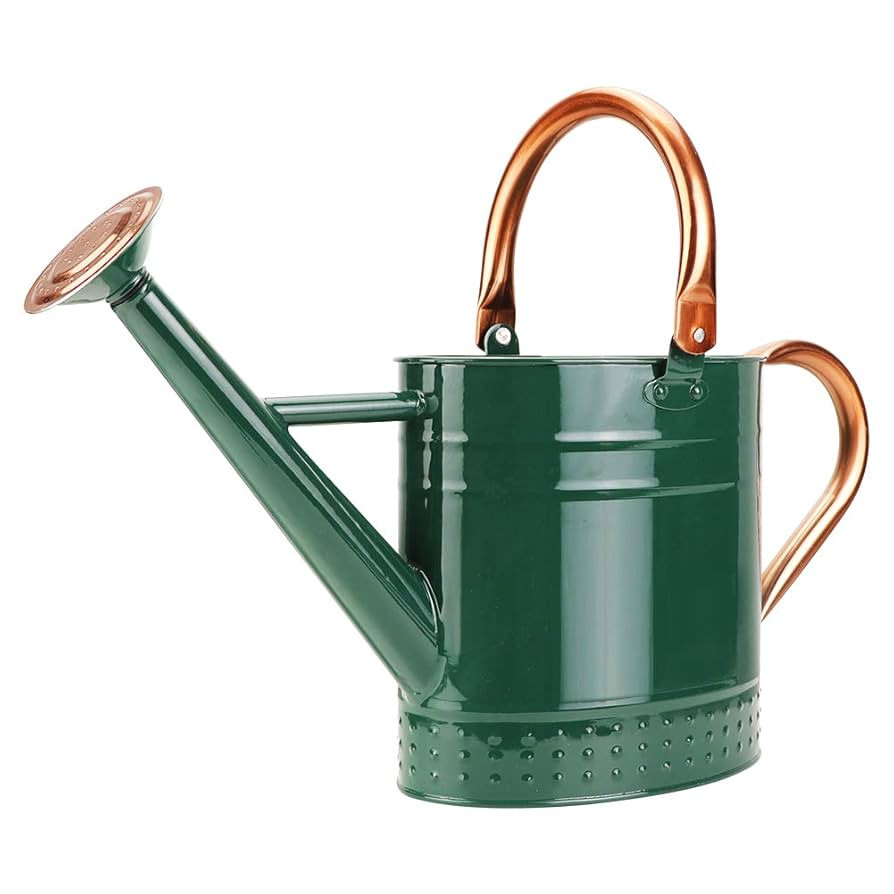 1 Gallon Metal Watering Can with Removable Spout, Nice Galvanized Steel Water Can with Embossed D... | Amazon (US)