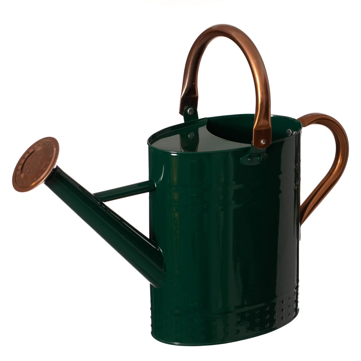 1 Gallon Galvanized Metal Watering Can With Removable Long Spout & Sprinkler Head For Indoor & Ou... | Wayfair North America