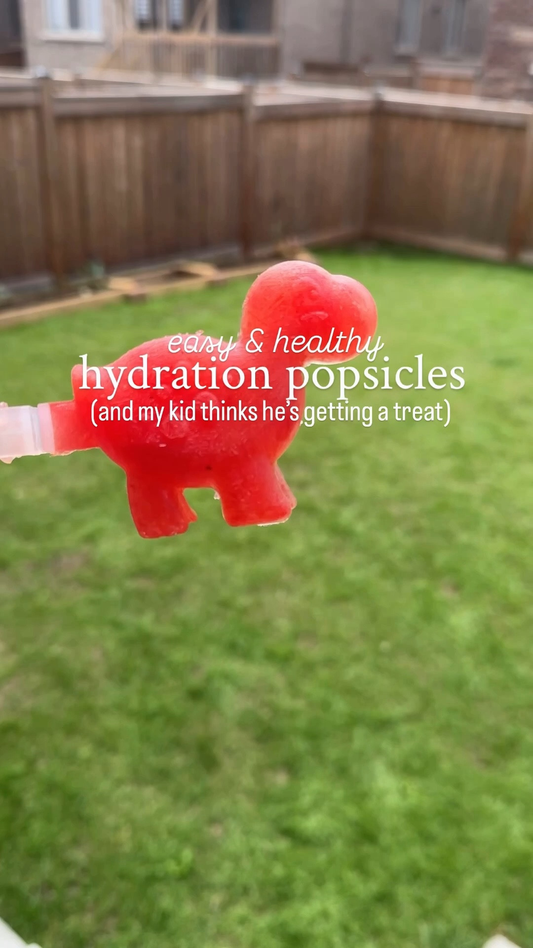 two ingredient popsicle 🍦🤩

#popsicle #amazoncanada #amazonkids #toddlermom #toddlerlife #momhacks

#LTKsummer #LTKcanada #LTKkids