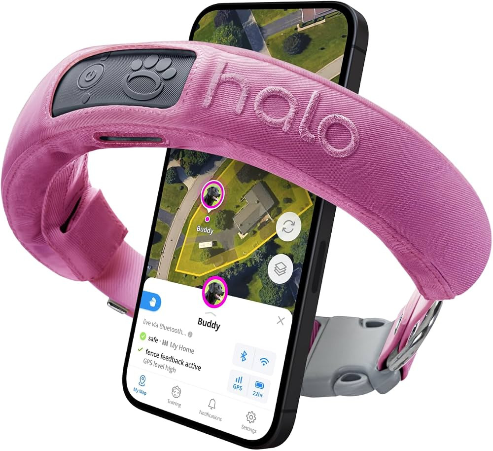 Halo Collar 3 - GPS Dog Fence - Multifunction Wireless Dog Fence & Training Collar with Real-Time... | Amazon (US)
