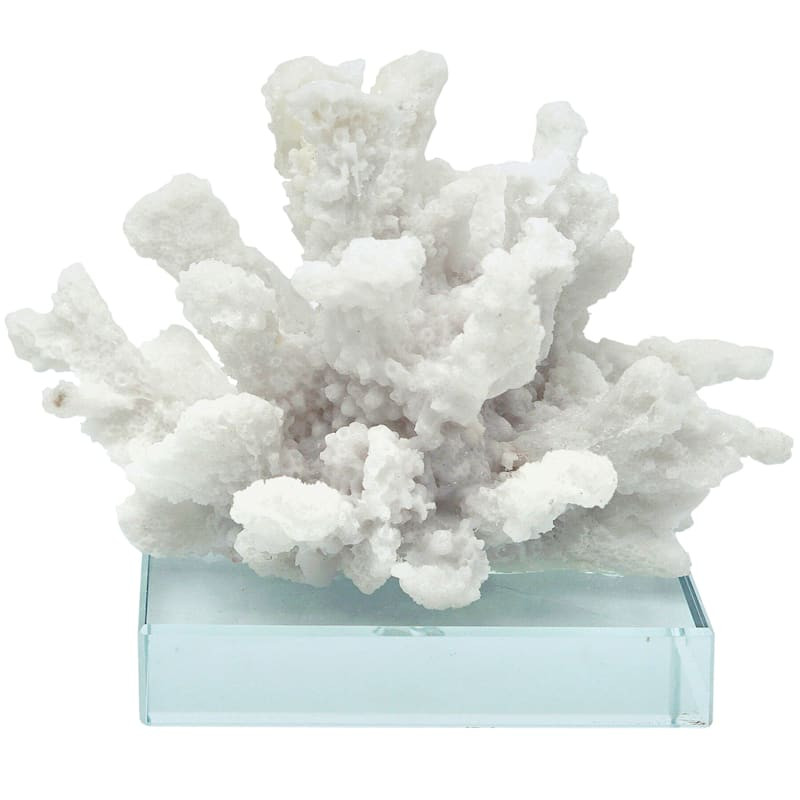 White Coral Figurine on Glass Base, 5" | At Home