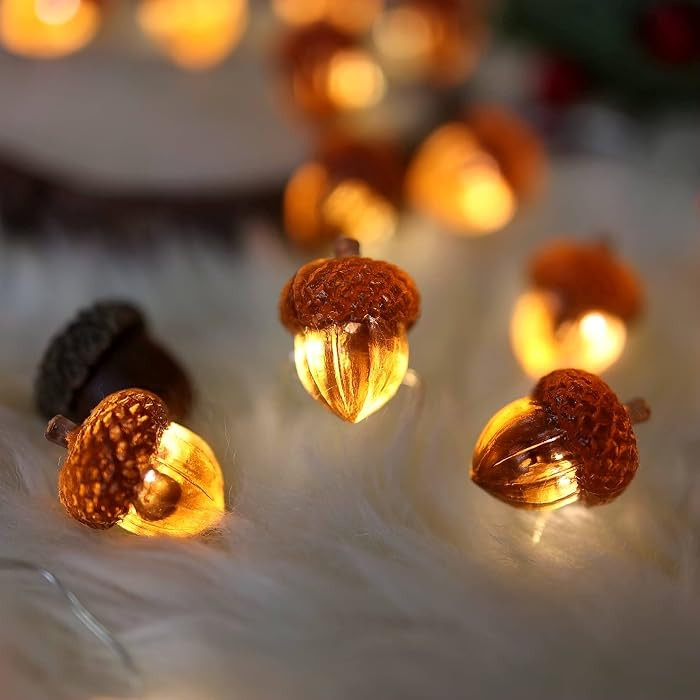 Decorative Fairy Acorn String Lights Thanksgiving Decoration Autumn Garland Cute Novelty Lights 30 LEDs 10 ft Battery Operated for Bedroom Wedding Birthday Harvest Decor | Amazon (US)