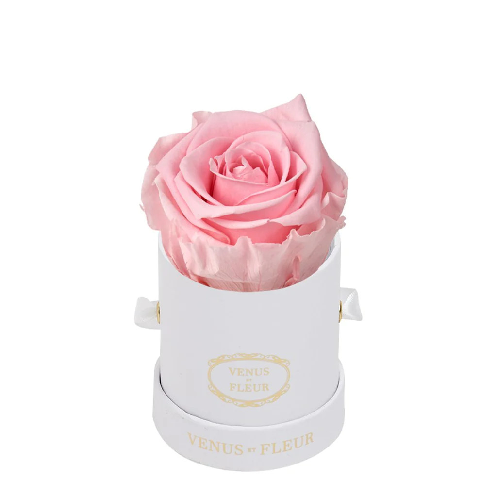 Le Mini Round | Venus ET Fleur
