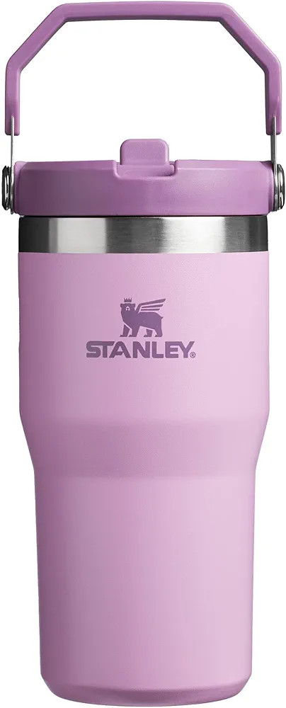 Stanley IceFlow Flip Straw Tumbler with Handle 20 oz | Twist On Lid and Flip Up Straw | Leak Resi... | Amazon (US)