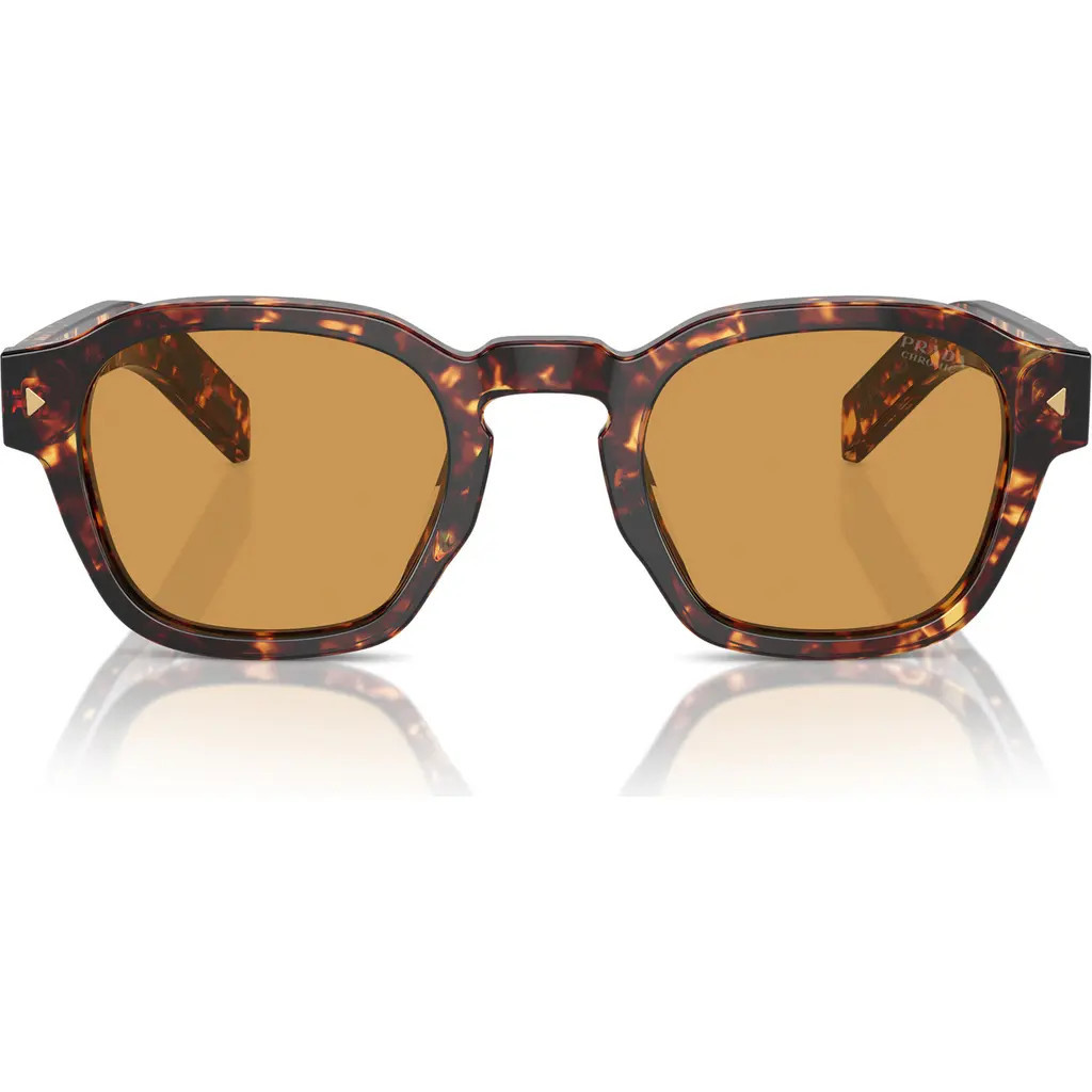 Prada 53mm Phantos Sunglasses in Brown at Nordstrom | Nordstrom