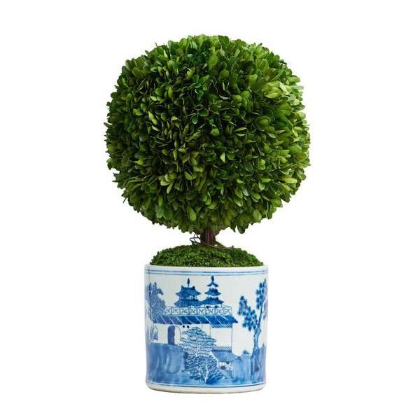 Boxwood Topiary in Cylindrical Pot | Caitlin Wilson Design