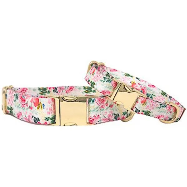 Pink Papyrus Spring Floral Polyester Dog Collar, Large: 18 to 28-in neck 1-in wide | Chewy.com
