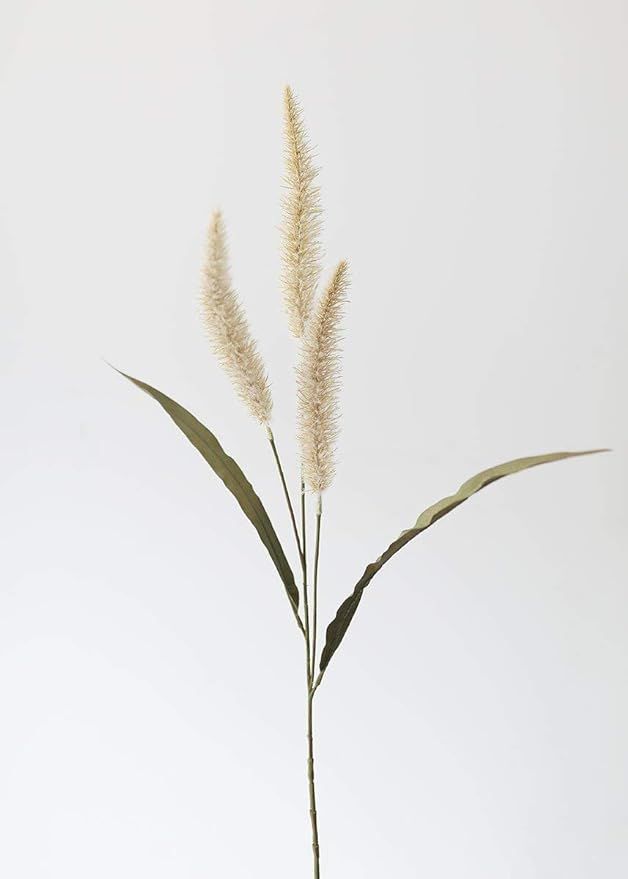 Afloral Fake Foxtail Fall Grass in Beige - 36" | Amazon (US)