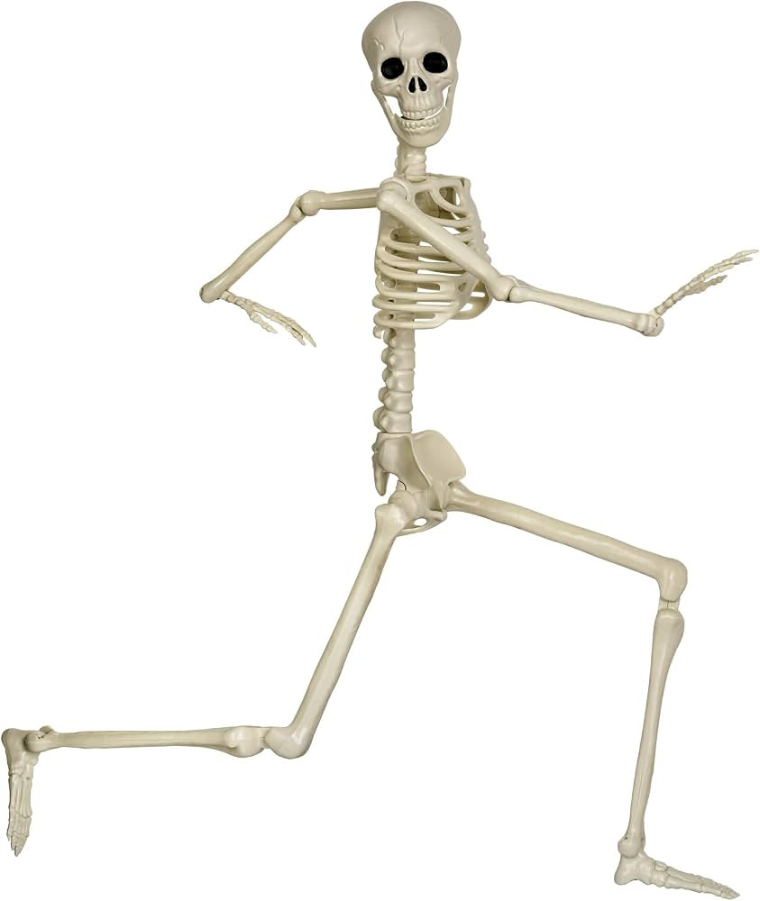 36" Skeleton Halloween Decorations, Posable Realistic Life Size Skeleton Decor, 3FT Large Hanging... | Amazon (US)