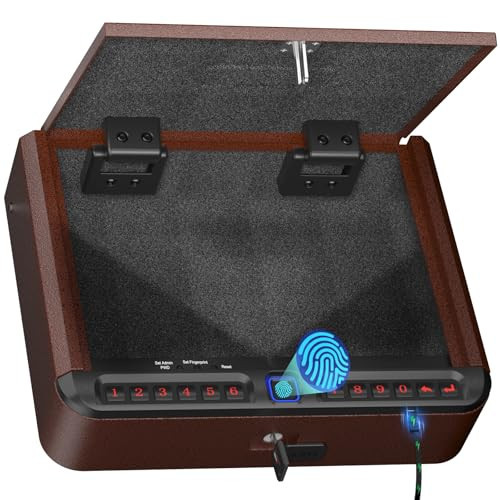 BILLCONCH Gun Safe for Handgun - Biometric Pistol Safe 4 Ways Quick Access with Fingerprint/Full-digital Keypad/Key/APP Lock and Security Cable for Nightstand Bedside Home - Antique Bronze | Amazon (US)