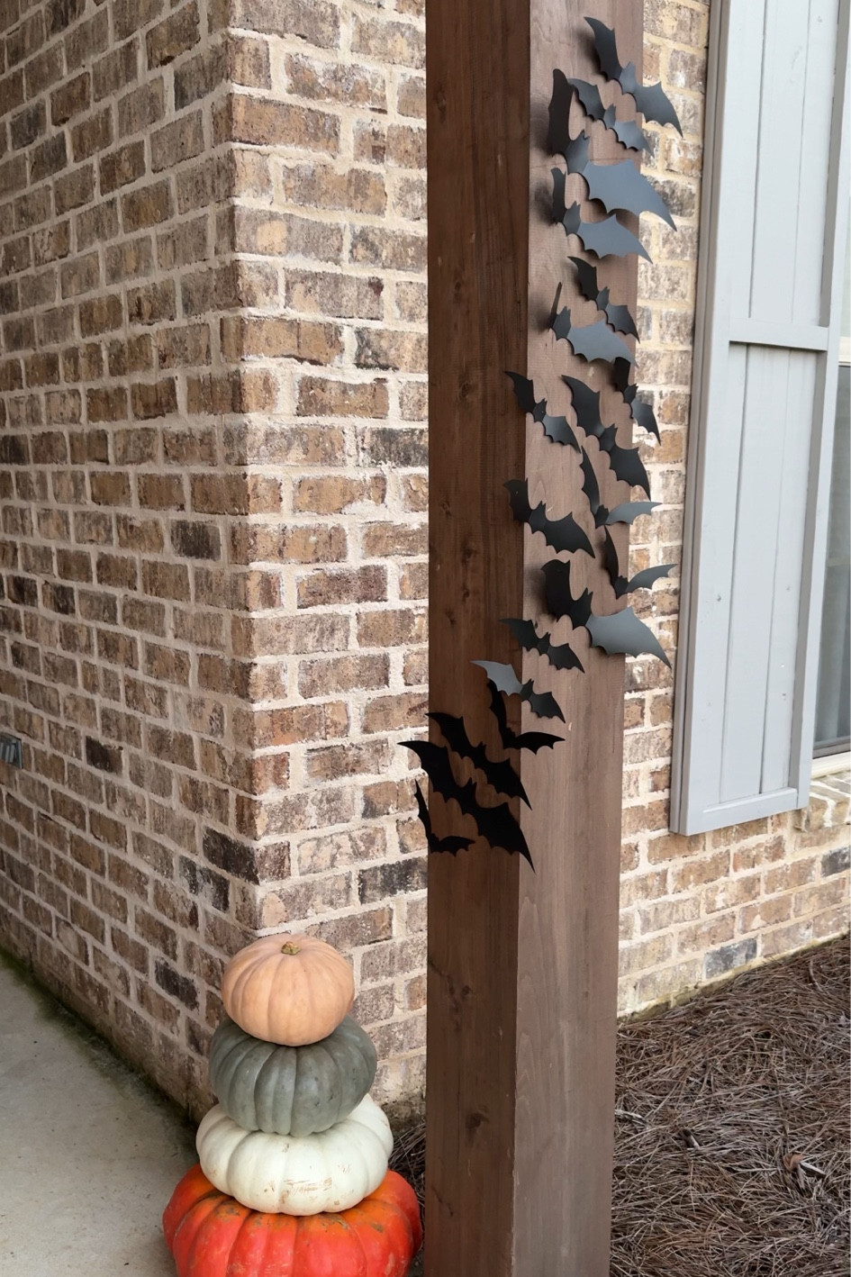 put up some lil bats🦇 on the porch today. only $8!!!

#LTKFallSale #LTKFindsUnder50 #LTKSeasonal