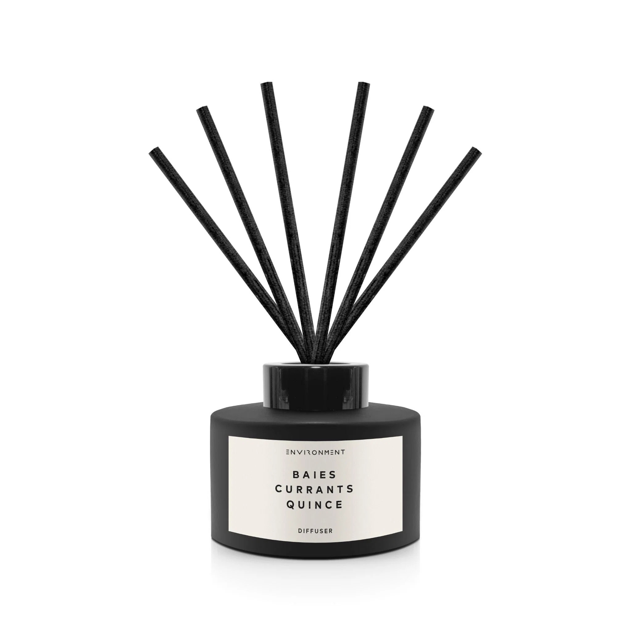 ENVIRONMENT 200mL Reed Diffuser Inspired by Diptyque Baies® - Baies | Currants | Quince | Wayfai... | Wayfair North America