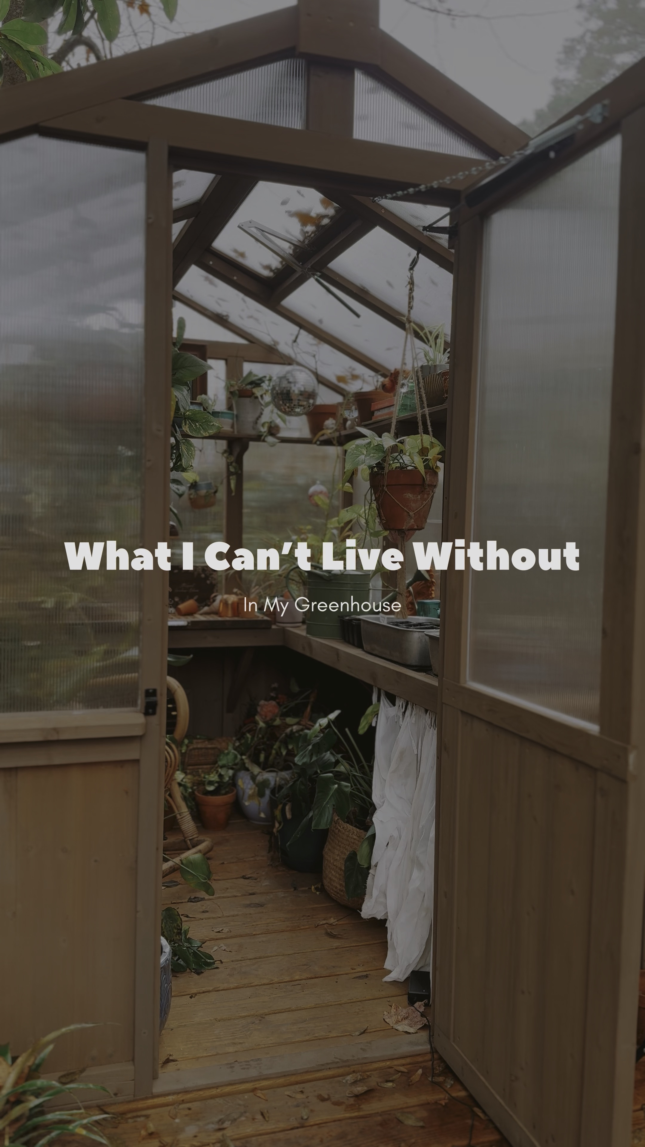 Greenhouse Must-Haves: My Essentials for Greenhouse Happiness

Looking to create your own little greenhouse sanctuary? Here are my absolute essentials that I can’t live without! Whether you’re starting seeds, nurturing plants, or just enjoying the cozy vibes, these picks will make your greenhouse experience next level. 🌿✨

#garden #greenhouse

#LTKWatchNow #LTKHome #LTKSeasonal