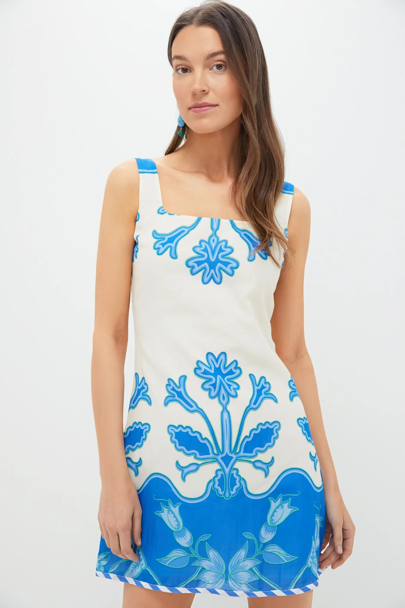 Royal Palm Zander Mini Dress | Tuckernuck (US)