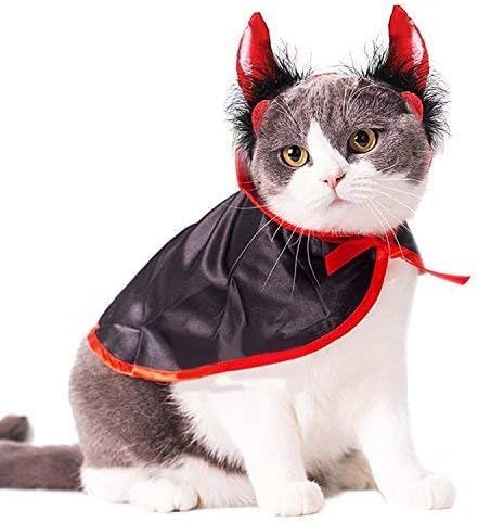 Legendog Cat Costume Halloween Pet Costumes Red Velvet Pet Cape with Hat Pet Apparel for Small Do... | Amazon (US)