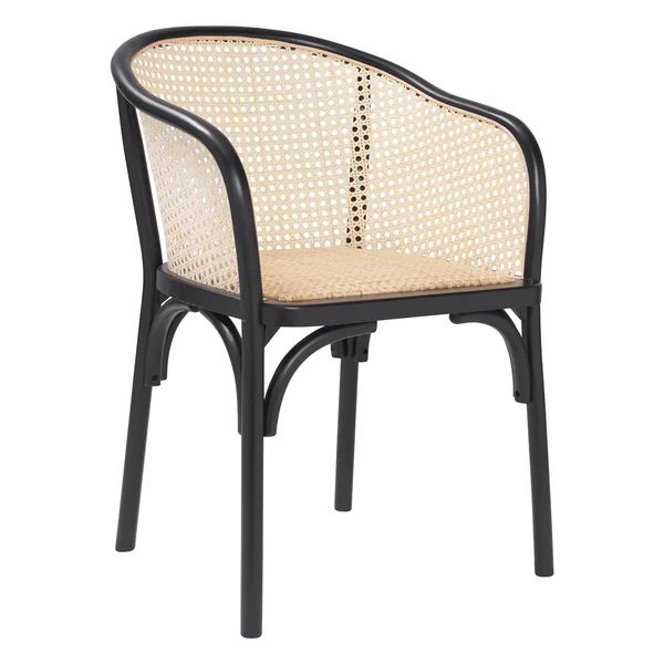 Cara Arm Chair Black | Wayfair North America