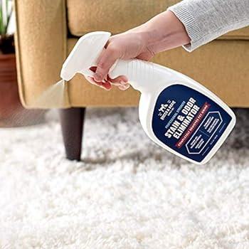 Rocco & Roxie Professional Strength Stain & Odor Eliminator - Enzyme-Powered Pet Odor & Stain Rem... | Amazon (US)
