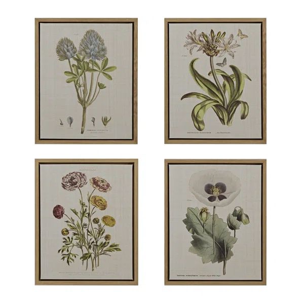 Martha Stewart Herbal Botany Framed Linen Canvas 4 Piece Set | Wayfair Professional