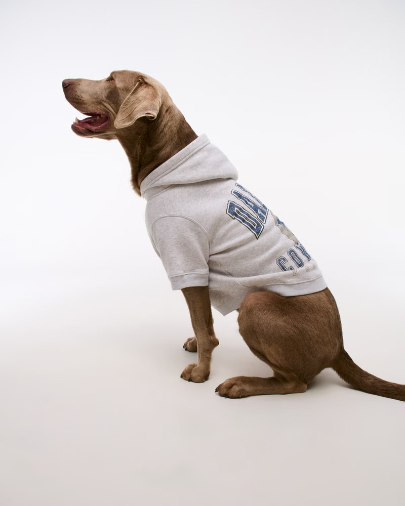 Dallas Cowboys Pet Pupover | Abercrombie & Fitch (US)