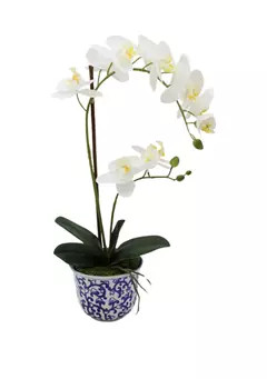Bazaar White Orchid in Blue & White Pot Faux Greenery | Belk