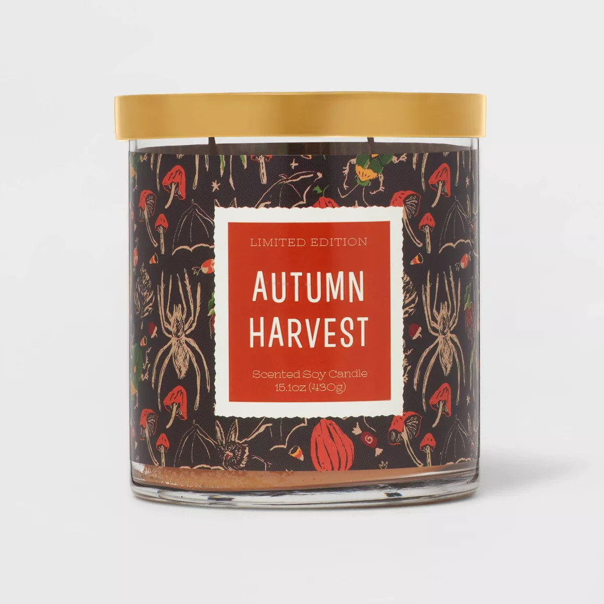 15.1oz 2-Wick Lidded Glass Jar Autumn Harvest Candle Black - Opalhouse™ | Target