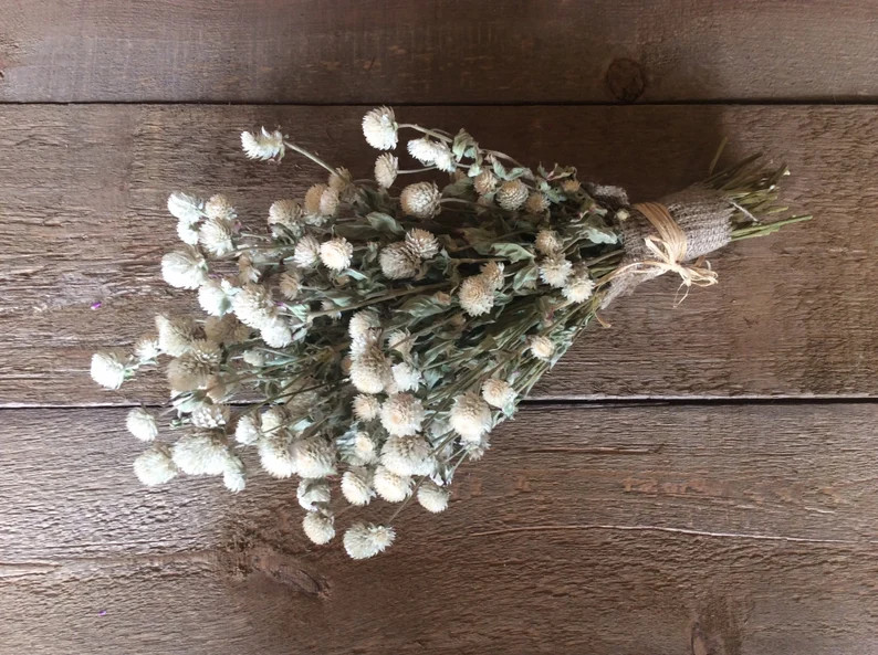 Dried Bouquet of Gomphrena  Cream | Etsy | Etsy (US)