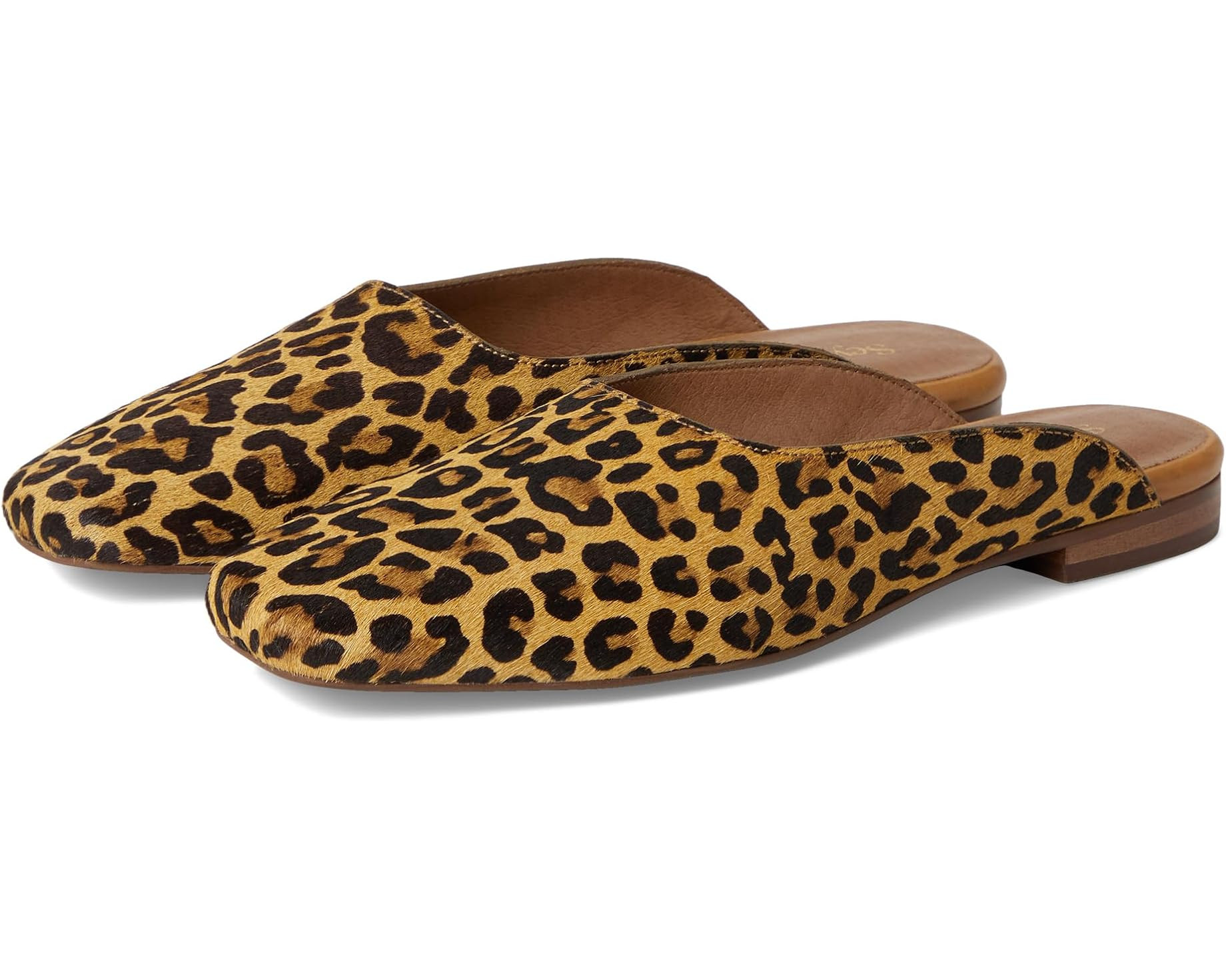 Prim And Proper Mule | Zappos