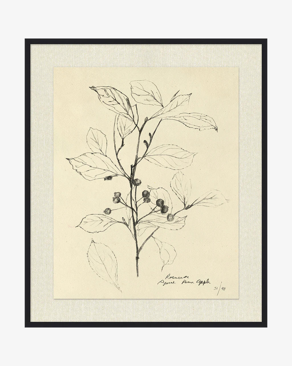 Floral Study 2 | McGee & Co.